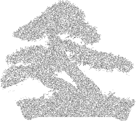 emilights-reiki-bonsai-noise