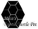 Logo Mica's Exotic Turtle Pet